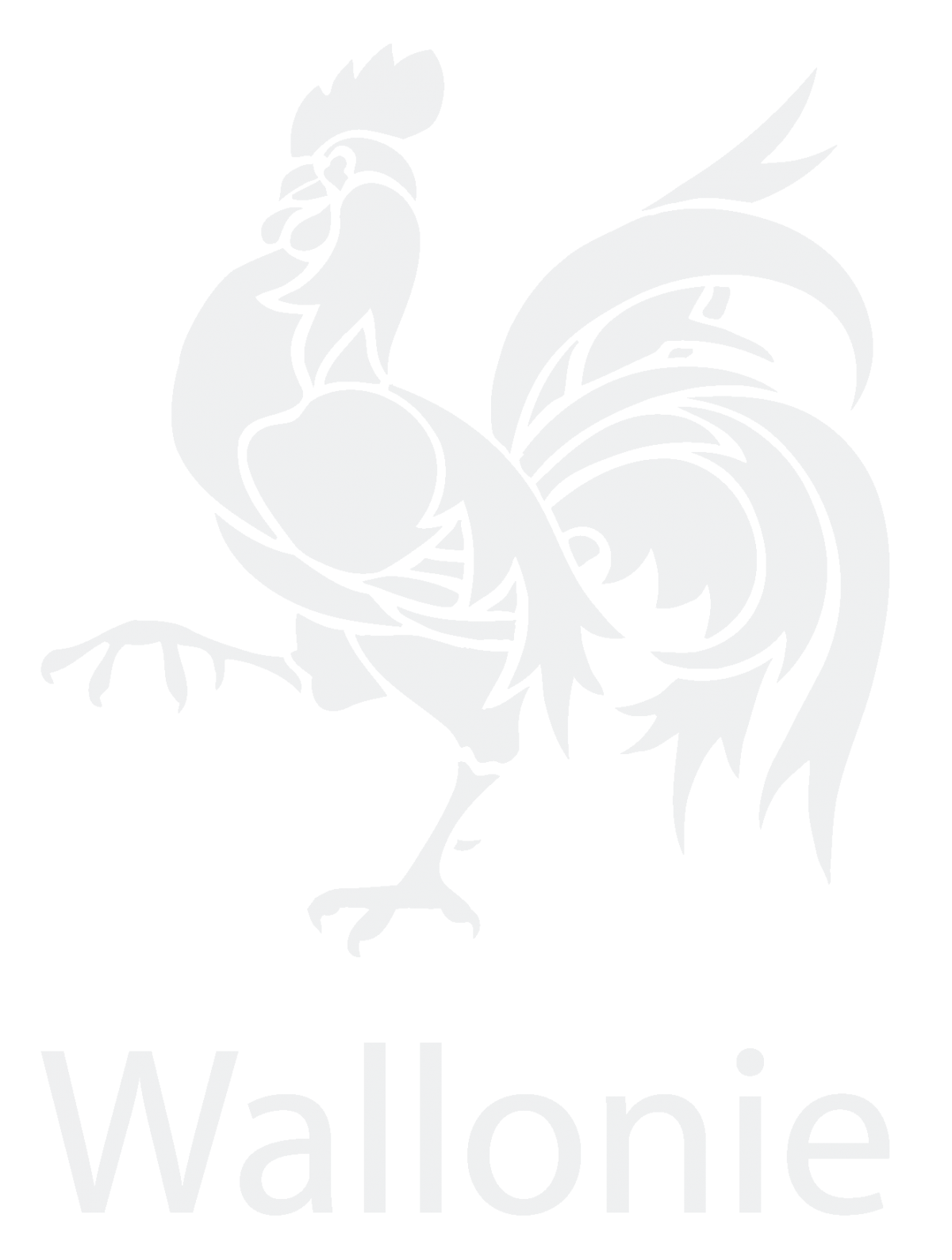 Wallonie logo