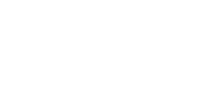 VLAIO sponsor