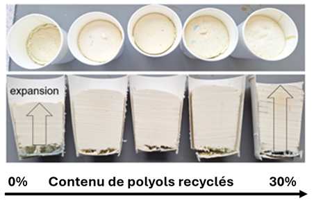 newsletter0-2